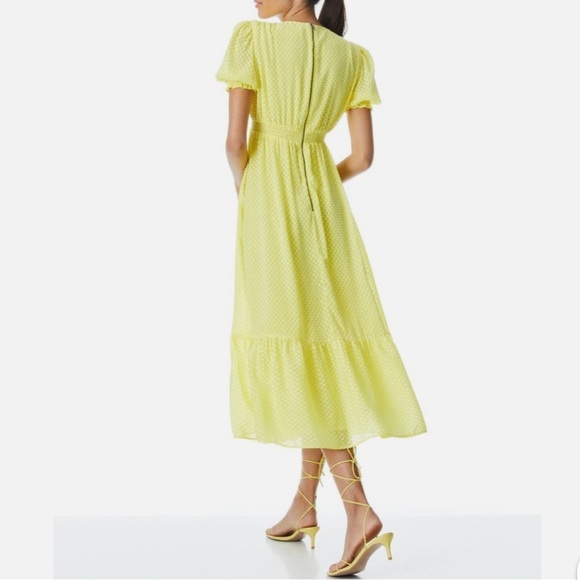 Alice + Olivia Angela Tirred Deep V-Neck Midi Dress Size 10 - Picture 8 of 9